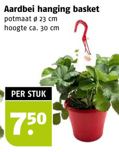 klik op dit plaatje voor een vergroting en voor vergelijkbare aanbiedingen gerelateerd aan
23 30 750 aardbei hanging basket potmaat cm hoogte ca. stuk 23 30 750 aardbei hanging basket potmaat cm hoogte ca. stuk