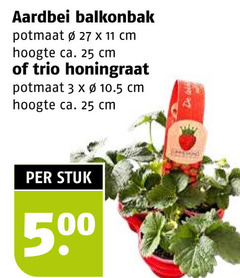 klik op dit plaatje voor een vergroting en voor vergelijkbare aanbiedingen gerelateerd aan
3 11 25 27 500 aardbei balkonbak potmaat cm hoogte ca. trio honingraat stuk 3 11 25 27 500 aardbei balkonbak potmaat cm hoogte ca. trio honingraat stuk