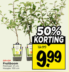  50 100 be fruitboom potmaat cm hoogte 9 99 