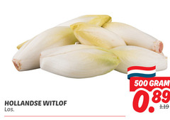  witlof 500 hollandse 
