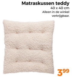  40 matraskussen teddy cm 