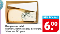  buitenlandse kaas kaasplateau mild roombrie bleu schaal 00 60 