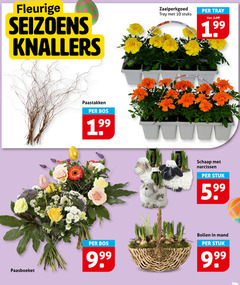  10 paasboeket fleurige seizoens knallers paastakken bos roma nova zaaiperkgoed tray stuks schaap narcissen stuk bollen mand 