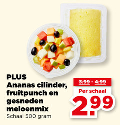  ananas fruitsalade 500 cilinder 3.99 fruitpunch schaal gesneden meloenmix 