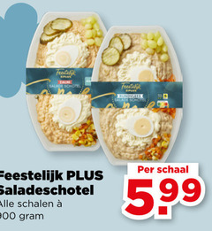  saladeschotel zalm salade schotel feestelijk rundvlees schalen schaal 5 99 