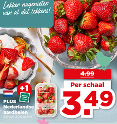  aardbeien 400 nagenieten lekkers 1 messen zegel nederlandse schaal 