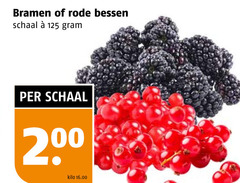  bramen rode bessen schaal 2 kilo 