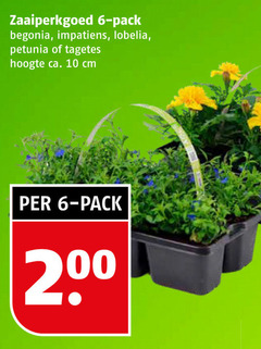  6 10 200 zaaiperkgoed pack begonia impatiens petunia hoogte ca. cm 
