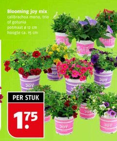  calibrachoa petunia 12 15 blooming joy mix mono trio potmaat cm hoogte ca. stuk 