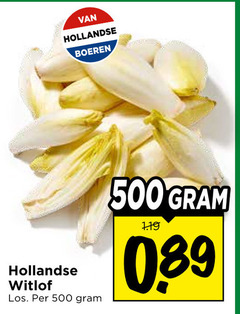  witlof 500 hollandse boeren 