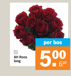  5000 roos lang bos 