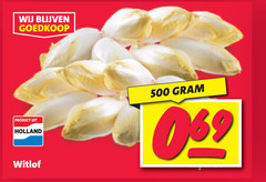  witlof 500 holland 