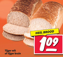  brood tijger wit bruin 