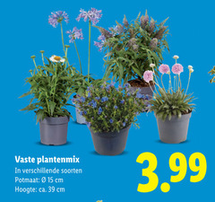  tuinplanten 15 vaste plantenmix soorten potmaat cm hoogte ca. 3.99 