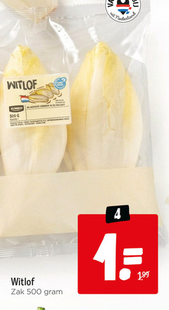  witlof 1 4 500 planes jumbo re juin land nederland zak 