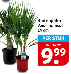  tuinplanten 19 potmaat cm stuk 