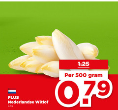  witlof 500 nederlandse 