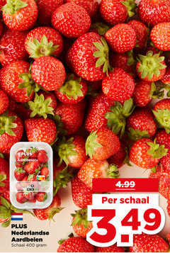  aardbeien 400 nederlandse schaal 