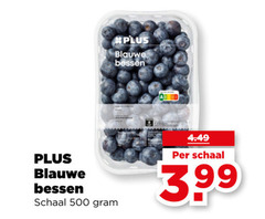  blauwe bessen 500 schaal 3.99 