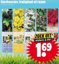 klik op dit plaatje voor een vergroting en voor vergelijkbare aanbiedingen gerelateerd aan
fruitstruik heesters tuinrozen sierheester rozen rubus potentil black lonicera zoek elders rosa fruitstruik heesters tuinrozen sierheester rozen rubus potentil black lonicera zoek elders rosa