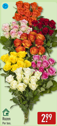  rozen bos 