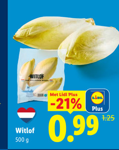  witlof 500 hollandse 