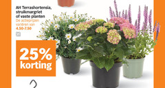 klik op dit plaatje voor een vergroting en voor vergelijkbare aanbiedingen gerelateerd aan
tuinhortensia 25 terrashortensia struikmargriet vaste planten varieeren tuinhortensia 25 terrashortensia struikmargriet vaste planten varieeren