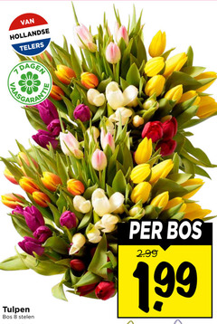  tulpen 8 hollandse telers dagen bos stelen 