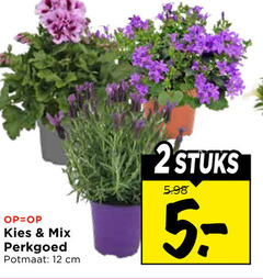 klik op dit plaatje voor een vergroting en voor vergelijkbare aanbiedingen gerelateerd aan
perkplanten 2 12 mix perkgoed potmaat cm stuks perkplanten 2 12 mix perkgoed potmaat cm stuks
