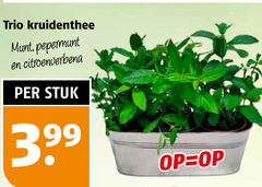 klik op dit plaatje voor een vergroting en voor vergelijkbare aanbiedingen gerelateerd aan
kruidenplanten trio kruidenthee munt pepermunt stuk kruidenplanten trio kruidenthee munt pepermunt stuk