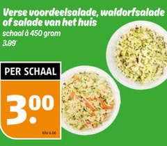  salade 300 450 verse waldorfsalade huis schaal 3.99 kilo 