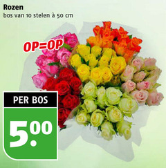  rozen 10 50 500 bos stelen cm 