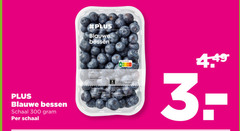  blauwe bessen 300 schaal 