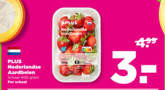  aardbeien 400 nederlandse schaal 