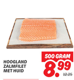  zalmfilet 500 hoogland huid 