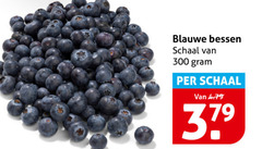  blauwe bessen 300 schaal 