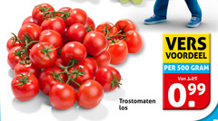  trostomaten 500 vers voordeel 