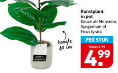  40 plant hoogte cm kunstplant pot monstera syngonium ficus stuk elders 