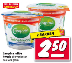 campina kwark 2 10 500 rijk proteine milde naturel bakken bak 