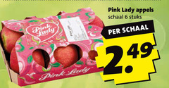  pink lady appels 6 schaal stuks 