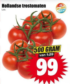 klik op dit plaatje voor een vergroting en voor vergelijkbare aanbiedingen gerelateerd aan
99 500 hollandse trostomaten bodem 99 500 hollandse trostomaten bodem