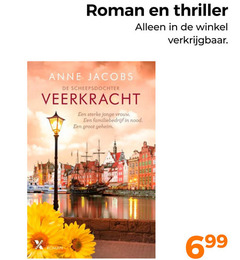  roman thriller anne jacobs veerkracht jonge vrouw familiebedrijf nood geheim 