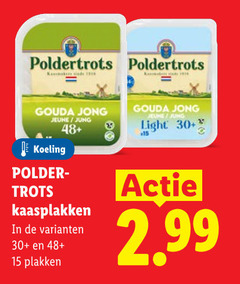  kaasplakken 2 15 gouda jong jung 48 b light 30 x15 koeling polder trots 