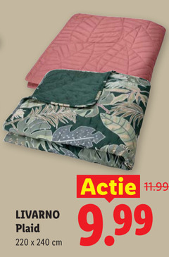  plaid 240 livarno cm 