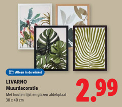  30 40 livarno muurdecoratie houten lijst glazen afdekplaat cm 