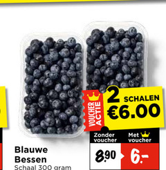  blauwe bessen 2 300 schaal voucher schalen 