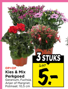  perkplanten 3 mix perkgoed geranium fuchsia anjer margriet potmaat 10 5 cm stuks 