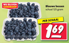  blauwe bessen schaal 