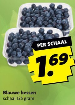  blauwe bessen schaal 