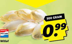  witlof 500 holland 